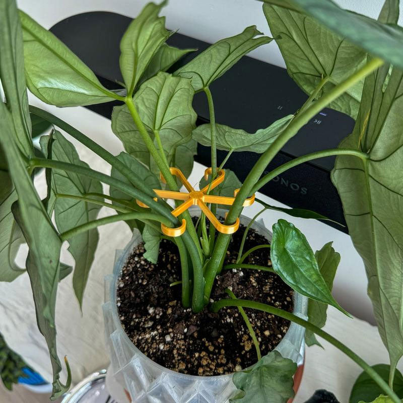 תמיכת גזע צמחים (4 יחידות)