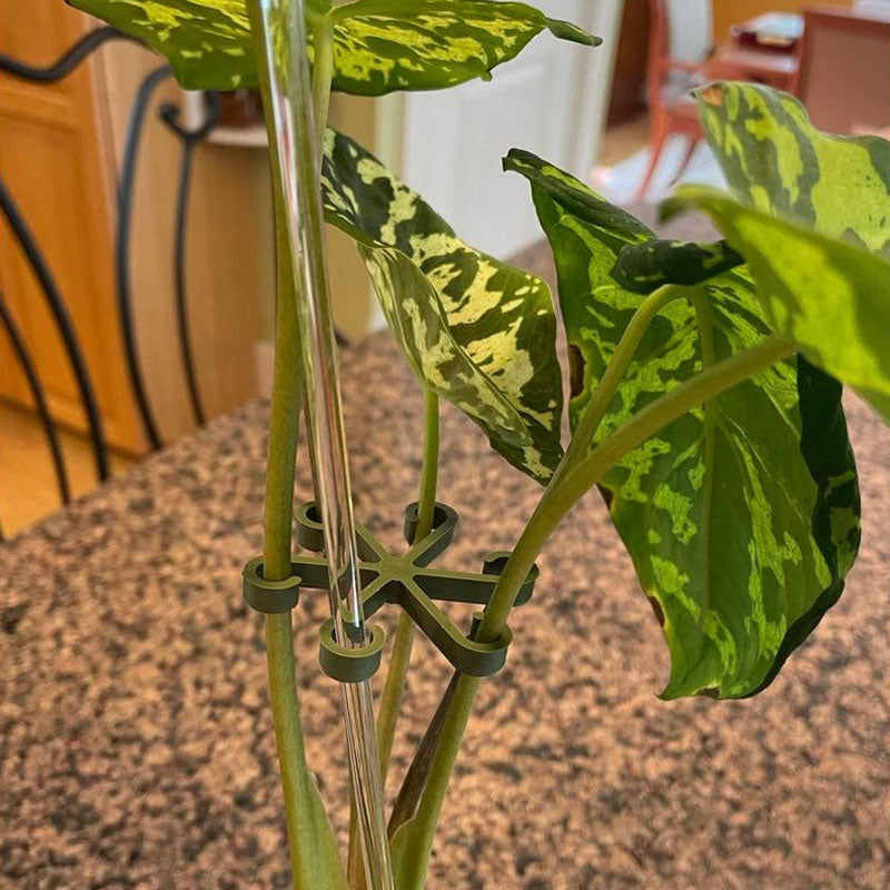 תמיכת גזע צמחים (4 יחידות)