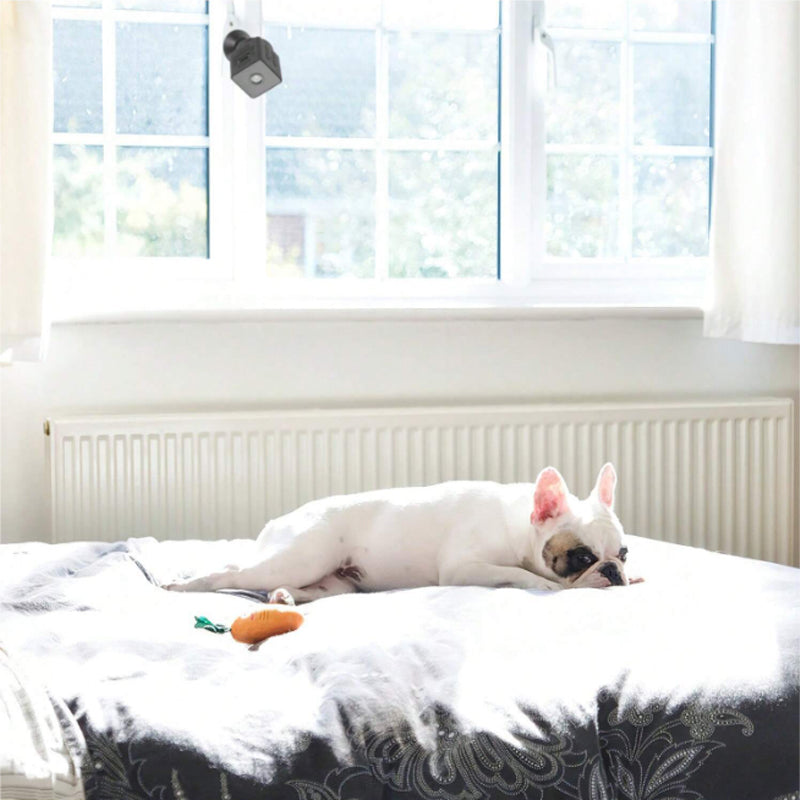 מצלמת WIFI אלחוטית