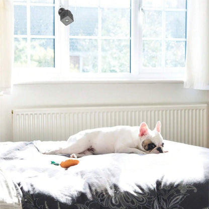 מצלמת WIFI אלחוטית